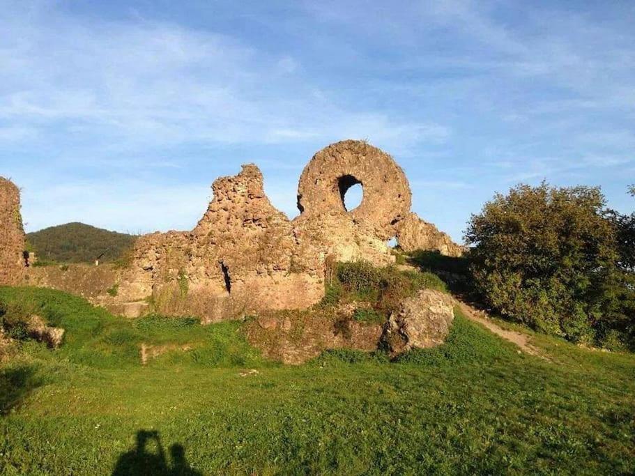 Gite Le Bambou Jama Aspach-le-Haut Exterior foto